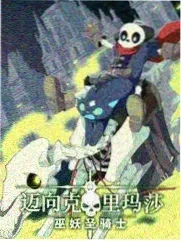 全员加速中 综艺 2025